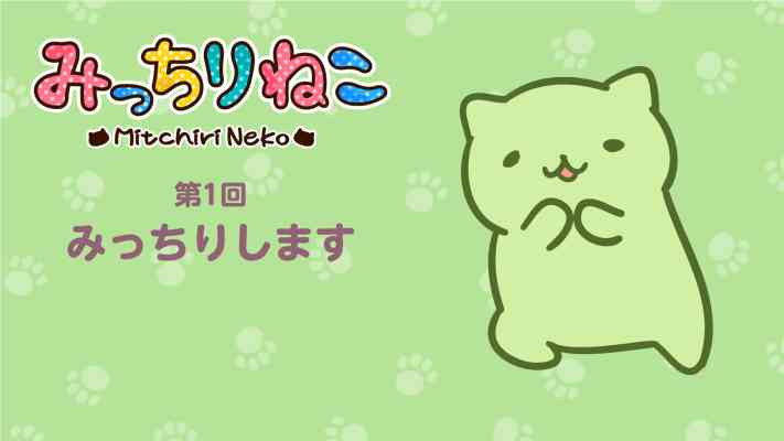 Cute Cat MitchiriNeko - Introduction of Character