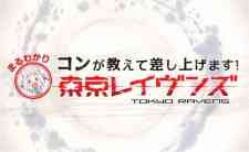 Tokyo Ravens: Kon ga Oshiete Moshi Agemasu! Maru Wakari Tokyo Ravens