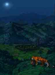 Tiger Brother Barkhan