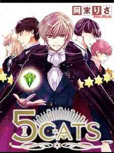 5 Cats